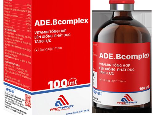 Dung dịch tiêm ADE. Bcomlex 100ml