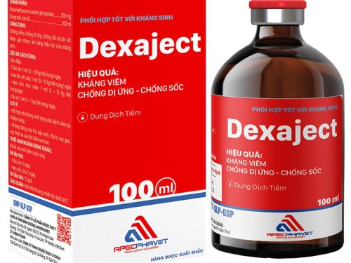 Dung dịch tiêm Dexaject 100ml